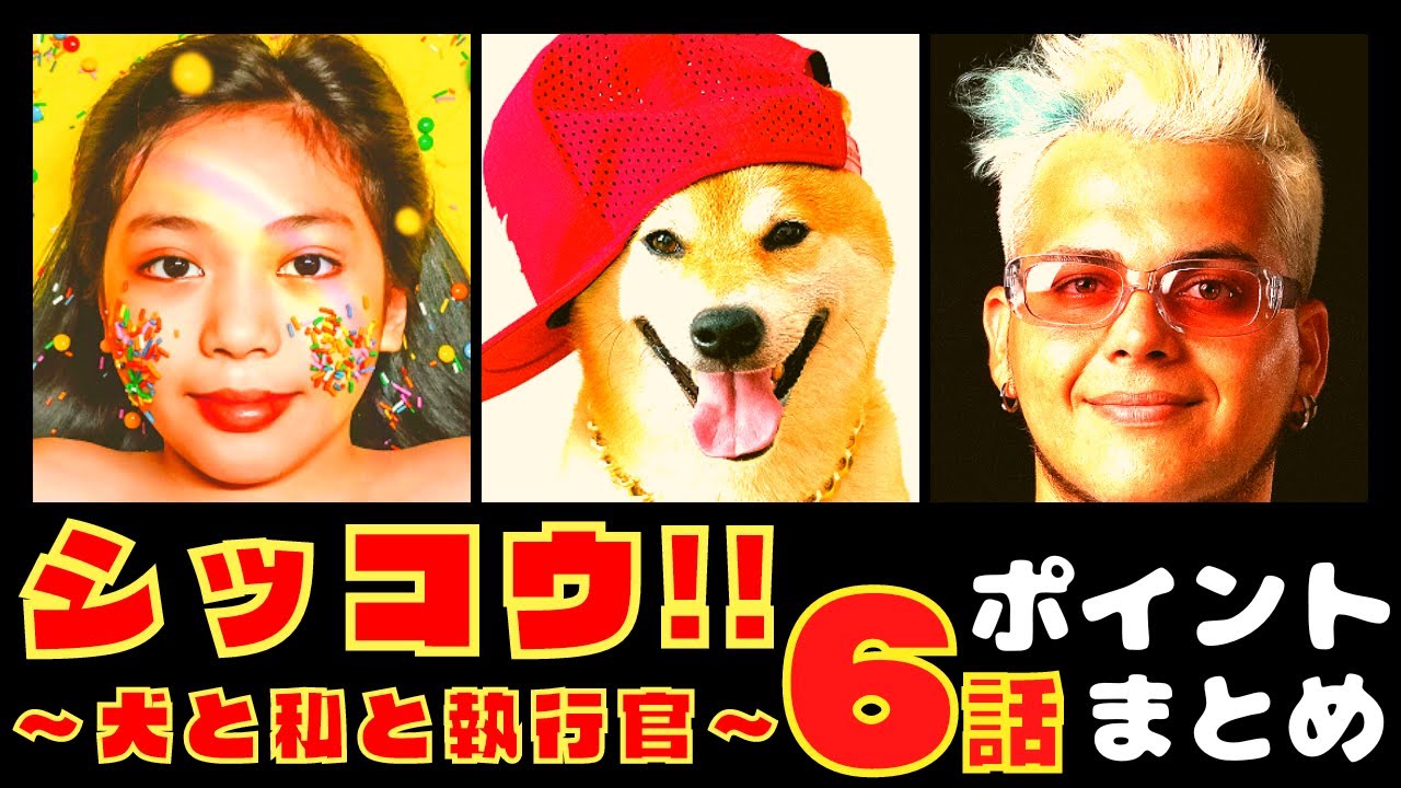 【シッコウ!!〜犬と私と執行官〜6話】激安!競売マンションの罠!?【ポイントまとめ】【伊藤沙莉】【織田裕二】 【シッコウ!!〜犬と私と執行官〜6話】激安!競売マンションの罠!?【ポイントまとめ】【伊藤沙莉】【織田裕二】