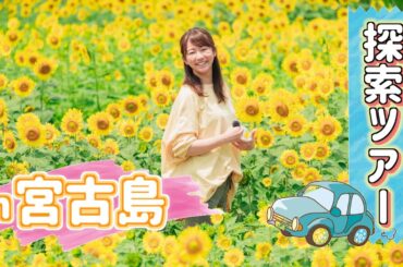 想像以上にレポ下手でした