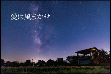 愛は風まかせ   / 五十嵐浩晃　（cover）