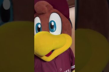 宇野実彩子（37）セレモニアルピッチ｜東北楽天ゴールデンイーグルス｜楽天モバイルパーク宮城 （宮城球場）｜仙台市｜1日の振り返り｜Instagram REELS 20230825