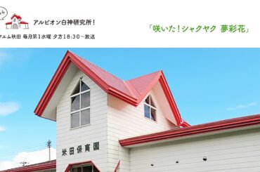 「咲いた！シャクヤク 夢彩花」【こちらアルビオン白神研究所！】