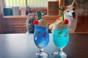 夏の日のももと天空クリームソーダ　Momo Tenkuu Soda Float