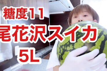 主婦休業日🤭視聴者様お薦め🍉スイカ🍉ゲットしましたぁー