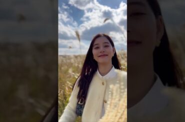 新木優子 ✨shorts✨