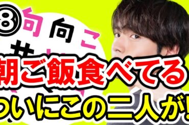 【赤楚衛二×波瑠】第⑧話 日テレ系『こっち向いてよ向井くん』 最速感想会！パフェはワッフルとバニラの部分がイイ！朝ご飯たべてる！ -ドラマ談話室 YouTube版-