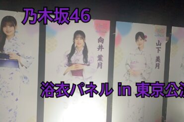 【乃木坂46】真夏の全国ツアー2023 浴衣パネル
