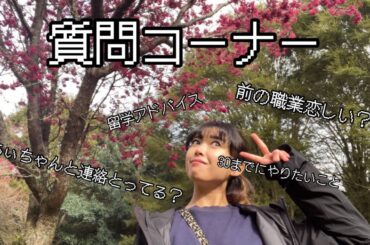 【質問コーナー】ネタのご提供ありがとうございます！