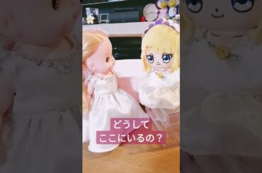 あなた！だあれ？どこからきたの？ #リリィ #メルちゃん #ネネちゃん