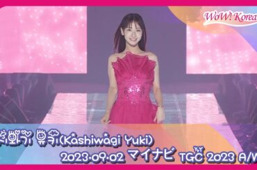 AKB48 柏木由紀、華やかなドレスを着てTGCファッションショー初の単独ランウェイ！ [マイナビ TGC 2023 A/W]