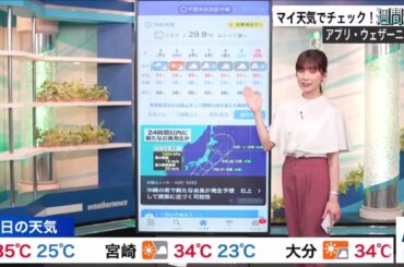 【松雪彩花(あやち)】🌈🎀飼っているミナミヌマエビ🦐話とアプリでの一週間の天気を紹介