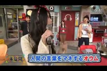 【SKE48】高柳明音スベるPart2