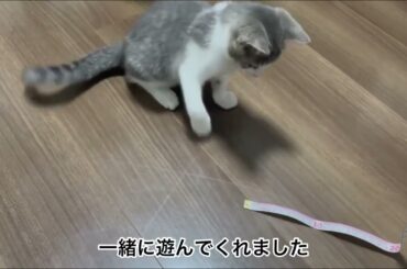 アッシュくんをおむかえした日