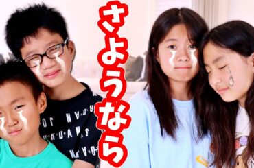 お別れ😭 ここりおちゃんがカナダから引越します😭