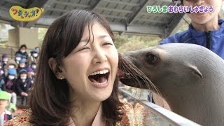 【必見】女子アナ桑子真帆の可愛い画像まとめ！地方だけどカワイイ!？