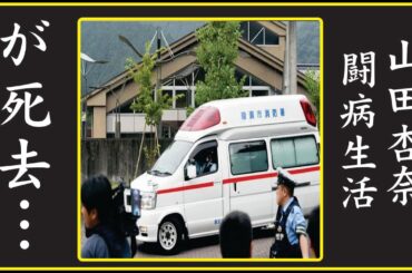 心も体もボロボロ…山田 杏奈の現在の様子に涙！山田 杏奈が死去…
