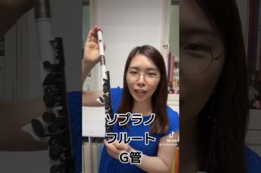 【何個知ってる？】色々なフルートとピッコロを比較！ #フルート #ピッコロ #flute #piccolo