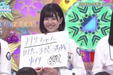 ひなあい　丹生ちゃん　ep1