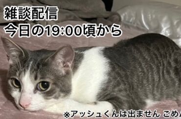 【第7回生配信】雑談配信【佐々木琴子】