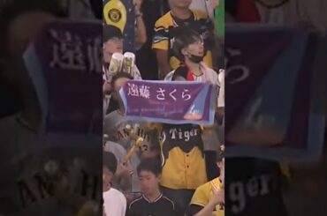 阪神タイガース 遠藤さくら選手 #乃木坂46