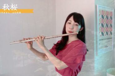 秋桜（さだまさし/山口百恵）