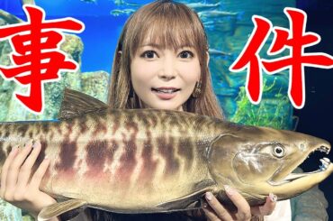 とんでもない真実をお話します。