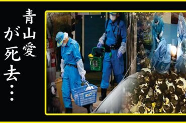 青山愛の芸能界復帰を目指し戦った3年半のガン闘病生活に涙が零れ落ちた…