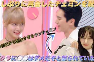 【LE SSERAFIM】ルセラフィムのウンチェが３週間ぶりにミューバン復帰‼︎宮脇咲良がチェミンに怒った理由とは⁉︎