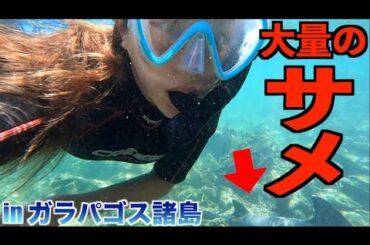 島でナンパされたので付いてった