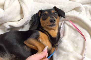 私のスリーサイズ知りたい？