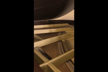 「未来へ」Cover / 武藤彩未