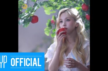 Wanna have MORE MINA? - TWICE "MORE & MORE"