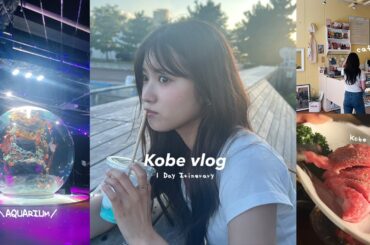 【vlog】日帰り弾丸神戸旅行✈️ 可愛いカフェや水族館〜！おしゃれなお店を巡る旅| atoa | 神戸牛| 元町 |三宮| 北野| メリケンパーク