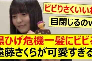 【乃木坂46】黒ひげ危機一髪にビビる遠藤さくらが可愛すぎる!【ネットの反応】【反応集】