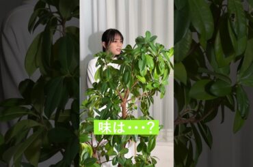 タガメをバリバリ食べる人と虫嫌いの貴島明日香