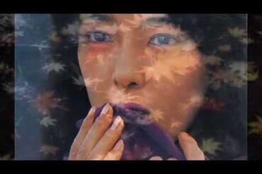 小林麻美　「マイ・ピュア・レディ ～ 夢一夜」