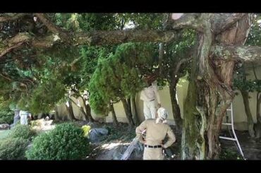 【講習会】植栽管理の講習会の様子【飯塚市】