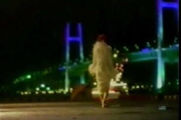 1995年CM　クリスマスイブ　TBC　ハイネケン　ハーゲンダッツ