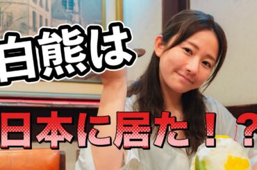 北極のシロクマから九州のシロクマへ