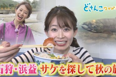 大家彩香の秋の旅石狩・浜益のサケを探して【どさんこワイド朝】 ※2023年10月3日 放送