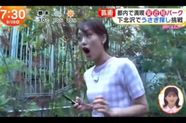 【井上清華・めざましテレビ】『やってセイカ』