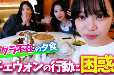 【LE SSERAFIM】サクラを呼びに行くかと思いきやｗ　サクラとチェウォンの仲の良さが分かるシーン特集【日本語字幕】