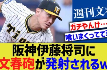 阪神伊藤将司に文春砲発射されるwwwwwwwwwww【なんｊ反応】