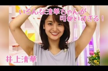 【井上清華】可愛いすぎる清華ちゃん