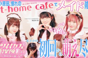 ず〜っと大好き！カワイイカフェ探検 by 原田珠々華 【あっとほぉーむカフェ編】