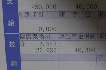 【給料明細公開】42歳　船長兼一等航海士　年間120日休日　10月分給料日