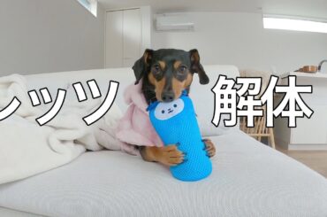 500円のおもちゃを1分で解体する方法教えます！