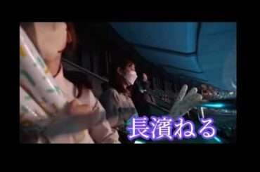 ３回目のひな誕祭　OGメンバーの長濱ねる、井口眞緒、柿崎芽実も観覧席に