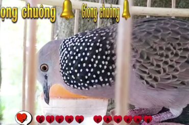 ぽかぽか 2023年10月16日 【豪華！秋の生トークSP！橋本環奈＆沢村一樹／大ブレイク！あのちゃん】LIVE HD