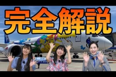 【ピカチュウジェットNH】ANA客室乗務員、古川未鈴、清水理子が解説！