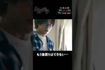 「#シガテラ」【もう後戻りはできない…ver.】 テレビ東京系 毎週金曜24時12分から放送&TVerで配信中！#醍醐虎汰朗 #関水渚 #長谷川慎 #shorts